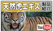 天然虎エキス　製品紹介ビデオ